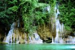 ‘THEE LO SU’ - GREEN MAGIC OF THE MIGHTY JUNGLE